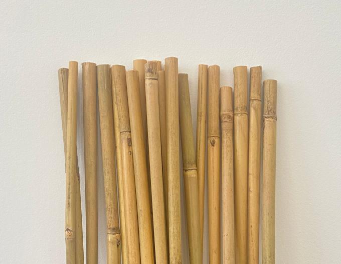 Plantas em vasos de bambu ecológicas para plantas de interior e exterior 1