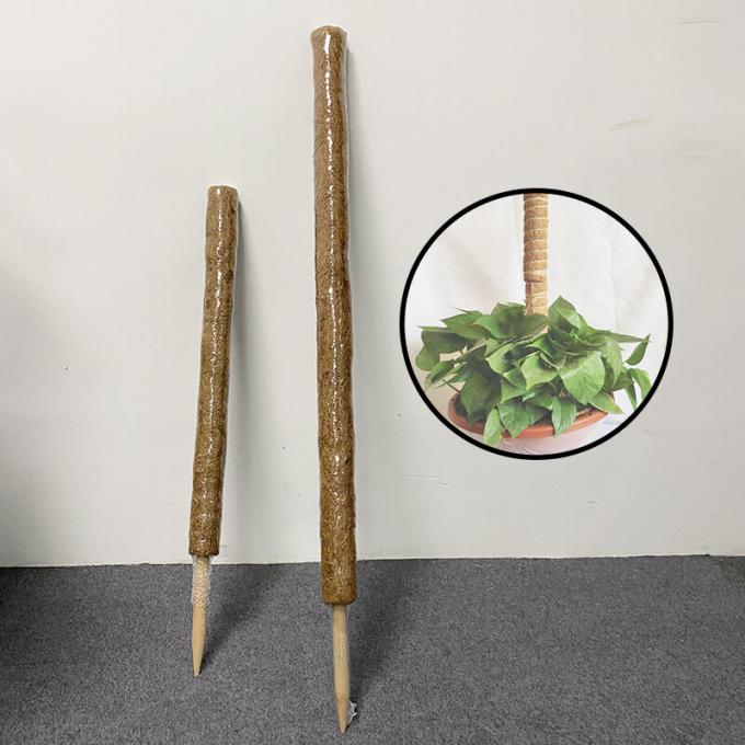 Apoio de plantas Moss empilhável Pólos de musgo para plantas Coco Totem Pole Alto Moss Pole para plantas de escalada Sphagnum 2