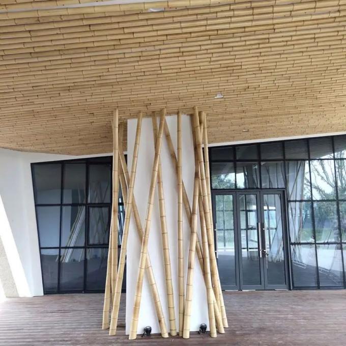 Pistas de árvore de bambu retas Natureza grande Bastos de bambu cru para decoração comprimento 300cm 2