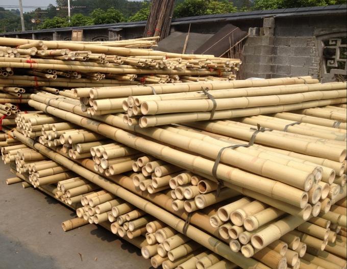 Preço por atacado Moss Natural Plant Pole Moss Stick For Climbing Plants Moss Poles Support 0