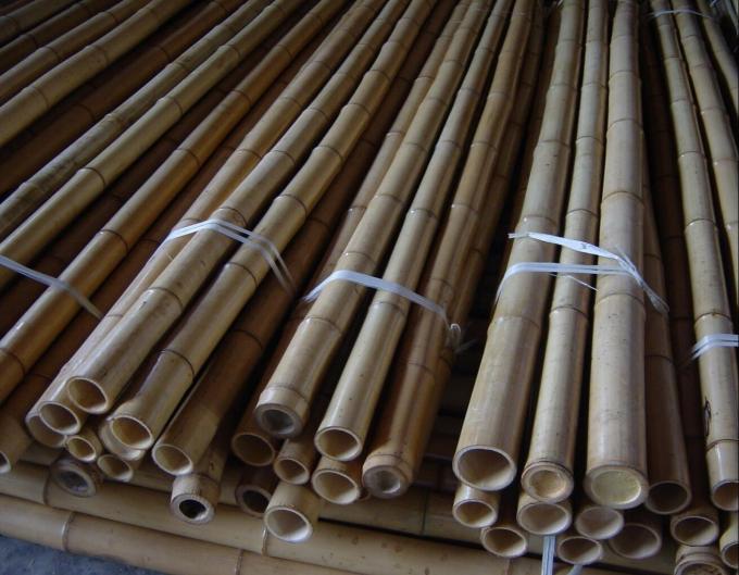 Preço por atacado Moss Natural Plant Pole Moss Stick For Climbing Plants Moss Poles Support 3