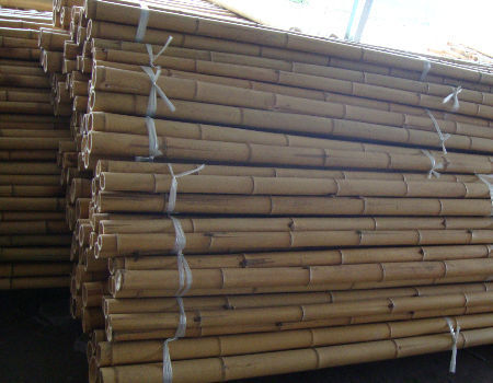 Preço por atacado Moss Natural Plant Pole Moss Stick For Climbing Plants Moss Poles Support 2