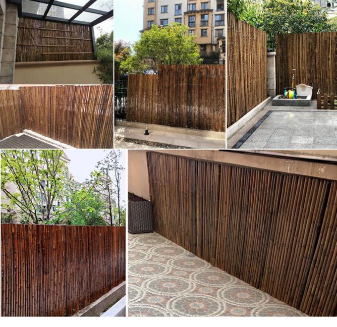 Cerca de bambu pintada material de bambu natural Privacy Garden Border de Panels Rolled Bamboo da cerca 2