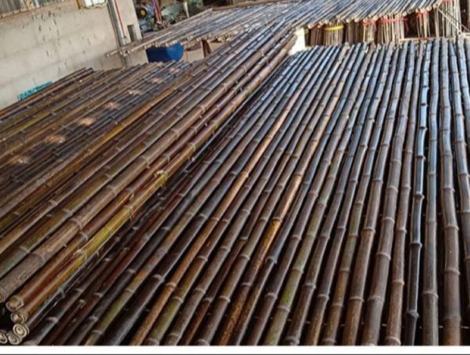 Cerca de bambu pintada material de bambu natural Privacy Garden Border de Panels Rolled Bamboo da cerca 1