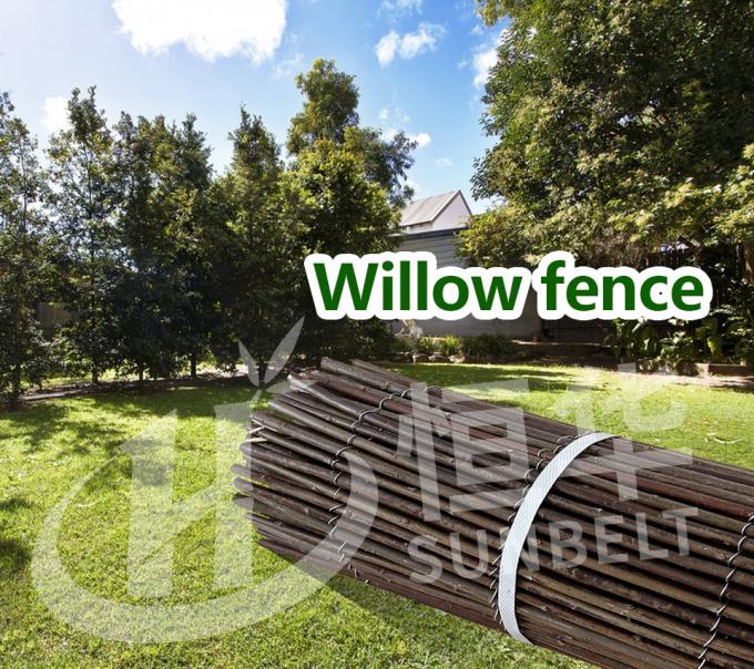 Ramos naturais de salgueiro para um cenário perfeito e solução de privacidade 0