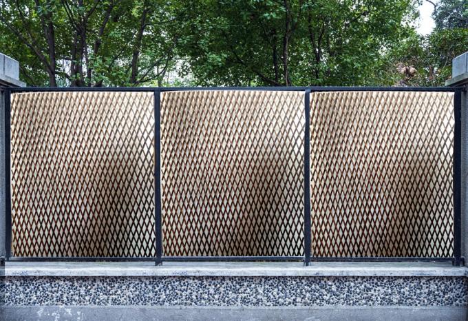 Ramos naturais de salgueiro para um cenário perfeito e solução de privacidade 2