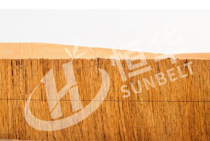 Pavilhão exterior de jardim de jardim de jardim de jardim de jardim 4