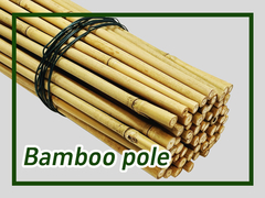 Palha de bambu Palhas de plantas de bambu para palhinhas de bambu ao ar livre e ao interior