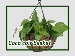 Alguma vez viram o Metal Hanging Basket Coco Liner Metal Planter Pot com Coco-fiber Liner?