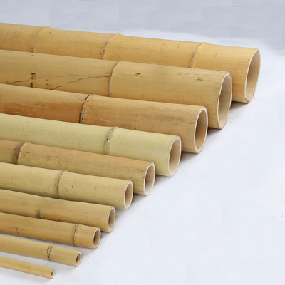 Estacas de bambu de jardinagem tratadas secadas dos bastões de Polos das varas 16cm para a construção