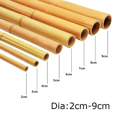Decoração Polos de bambu crus Tonkin natural Polos de bambu da planta de jardim