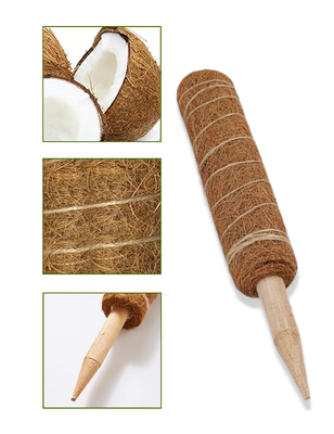 plantas de Moss Totem Pole Kit For da fibra de coco de 44cm que escalam e que apoiam o coco Polo das plantas