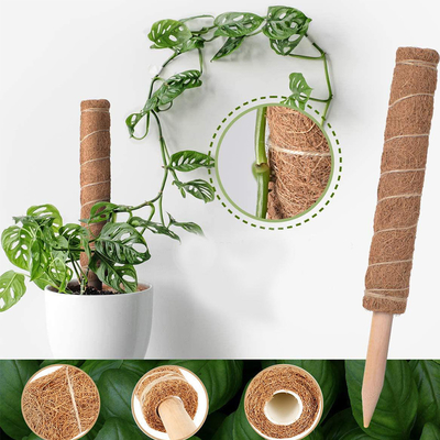 plantas de Moss Totem Pole Kit For da fibra de coco de 44cm que escalam e que apoiam o coco Polo das plantas