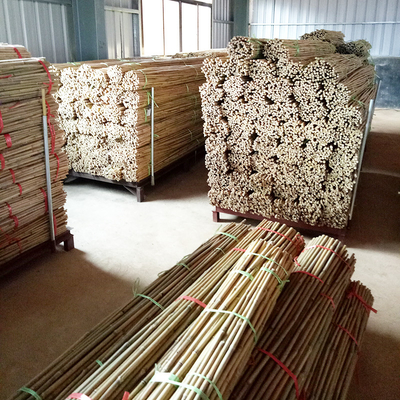Estacas de bambu naturais do apoio da planta para plantas internas, estaca de bambu 40cm do jardim de bambu de Polos das varas 595cm