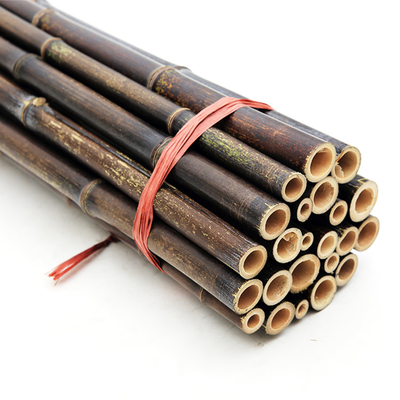 Decoração Polos de bambu crus Tonkin natural Polos de bambu da planta de jardim