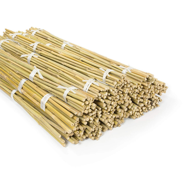 Estacas de bambu naturais Polos de bambu crus da mobília do jardim altura de 40cm a de 500cm