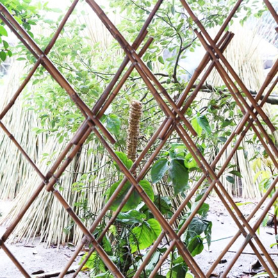 Estacas de bambu naturais Polos de bambu crus da mobília do jardim altura de 40cm a de 500cm