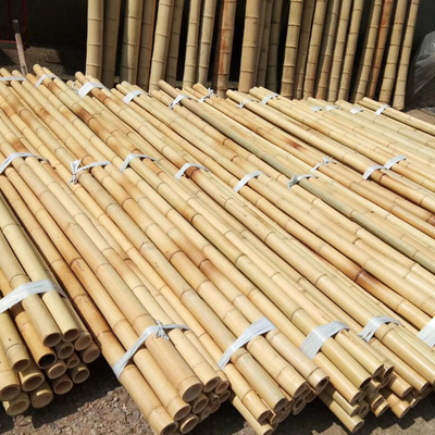 As varas de bambu do jardim natural para plantas em pasta dos tomates exteriores internos apoiam estacas