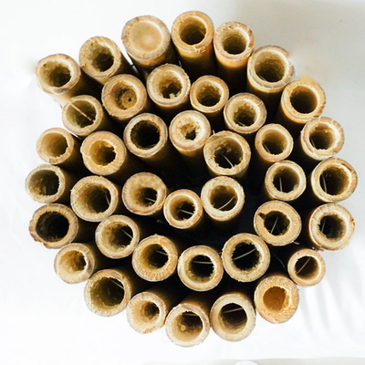cerca de bambu decorativa da beira de Little Garden Decorative da cerca de 20x100cm
