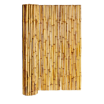 beira de bambu decorativa colorida natureza de For Garden Backyard da cerca de 150cm