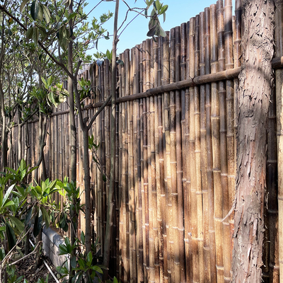 beira de bambu decorativa colorida natureza de For Garden Backyard da cerca de 150cm
