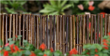 180cm 240cm rolou o cerco de bambu para o berçário da beira do jardim