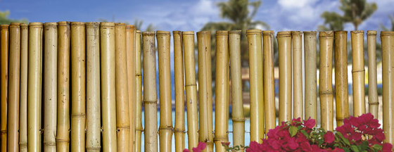 180cm 240cm rolou o cerco de bambu para o berçário da beira do jardim