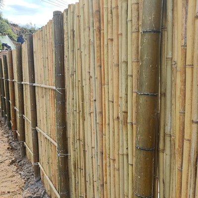 Cerca de bambu de bambu natural For Garden da privacidade de Tonkin Polo 240 elevações do CM