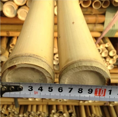 Do bambu amigável de um Moso de 3 polegadas de Eco estacas de bambu de Polo para o amarelo da decoração da planta