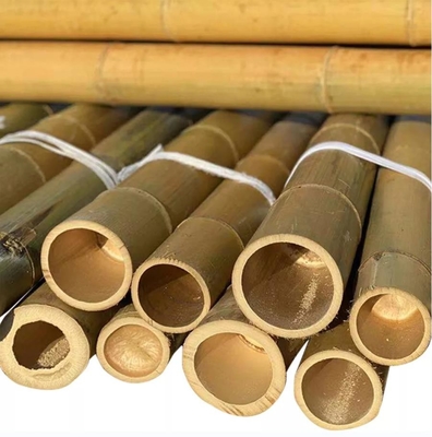 Tamanho personalizado Moso natural puro Poço de bambu seco Moso sólido Poços de bambu para construção ou decoração