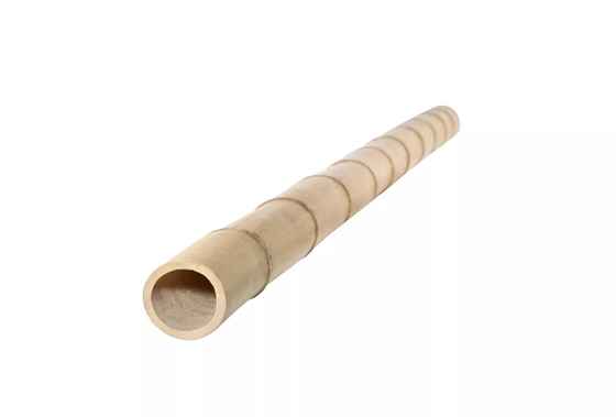 Bambu natural Polo de um Moso de 10 pés para a construção de construção do jardim