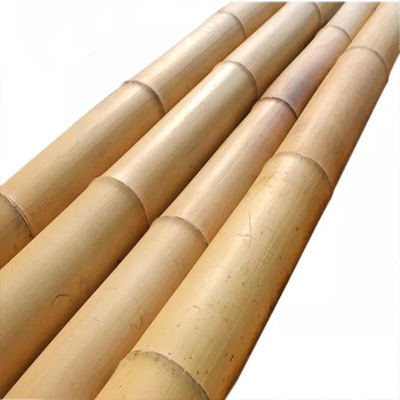 18 mm a 160 mm de diâmetro Bamboo Cane Moso Bamboo Pole Construção Agricultura