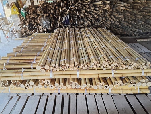 18 mm a 160 mm de diâmetro Bamboo Cane Moso Bamboo Pole Construção Agricultura