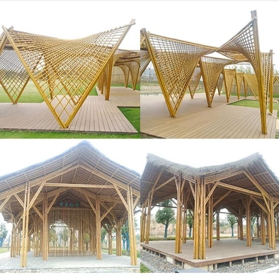 Diâmetro cru natural de Polos 2cm 3cm 4cm 5cm 6cm 8cm 10cm do bambu de Moso