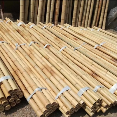 Diâmetro cru natural de Polos 2cm 3cm 4cm 5cm 6cm 8cm 10cm do bambu de Moso