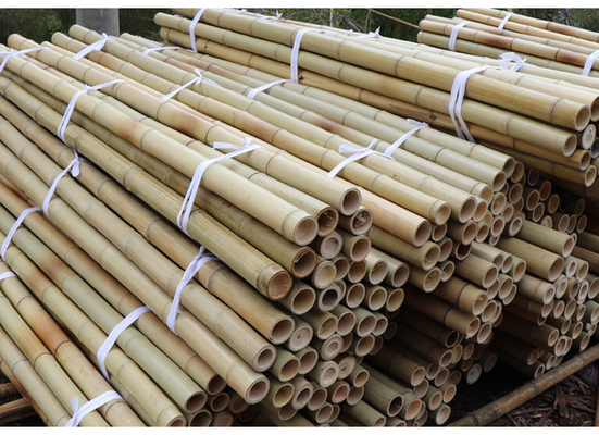Estacas de bambu naturais de Polos da mobília do jardim em linha reta para o comprimento 16cm da planta de jardim