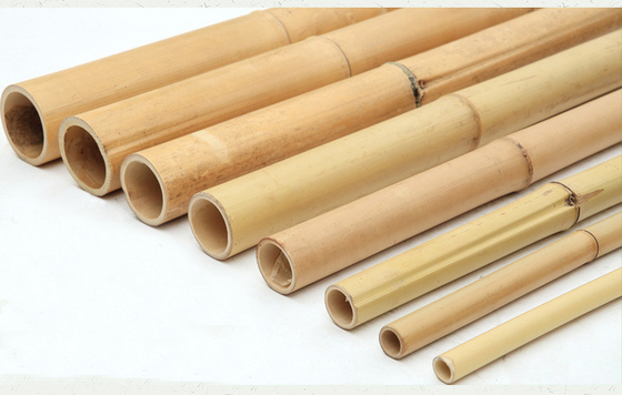 100% Polo 240cm de bambu cru natural que constrói Deoration 60cm 595cm