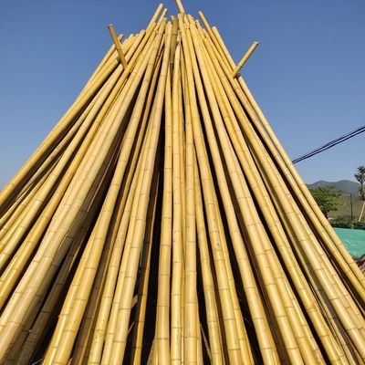 100% Polo 240cm de bambu cru natural que constrói Deoration 60cm 595cm