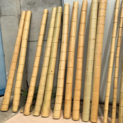 Estacas de bambu naturais de Polos da mobília do jardim em linha reta para o comprimento 16cm da planta de jardim