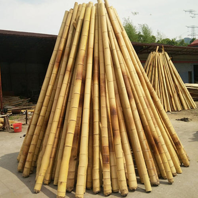 Matéria prima do bambu da construção