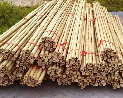 Estacas de bambu naturais de Polos da mobília do jardim em linha reta para o comprimento 16cm da planta de jardim