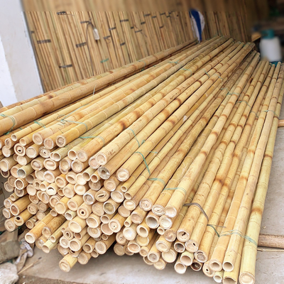 Estacas de bambu naturais puras de Polo do bambu de um Moso de 3 polegadas para o amarelo da decoração da planta