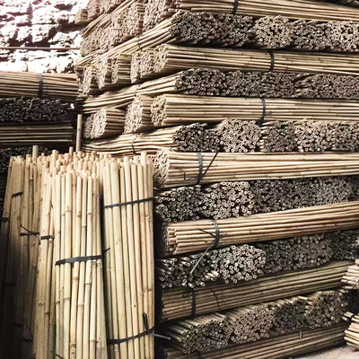 As varas de bambu do jardim natural para plantas em pasta dos tomates exteriores internos apoiam estacas
