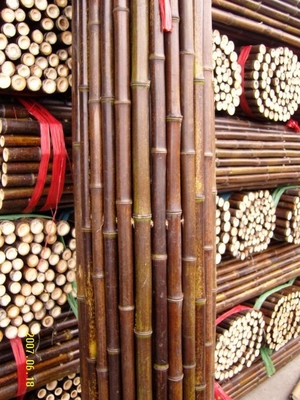 120cm Polo de bambu cru