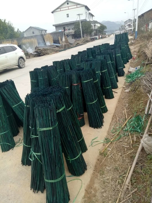 do verde de bambu cru da pintura de 150cm estacas de bambu decorativas pretas vermelhas do jardim Polos