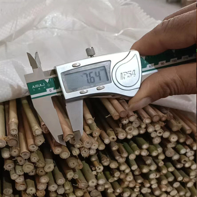 Vara de bambu de bambu crua de 100% Polos Polos diâmetro de 0.004m a de 0.014m