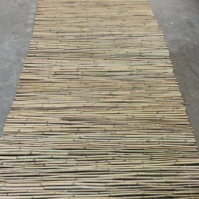 Bambu contínuo de bambu Polos de Home Decoration Raw Polos Tonkin da cerca do jardim