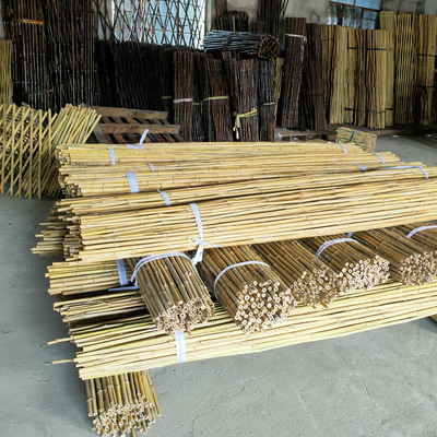 Bastões de bambu crus coloridos Polos de bambu para a agricultura do jardim