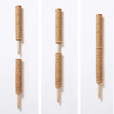 15,7 polegadas de polos coloridos naturais Moss Pole da fibra de coco do coco de Polos da planta para as plantas que escalam e que apoiam