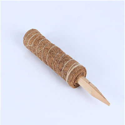 Palha de musgo para plantas de escalada 30cm 40cm 60cm 90cm Palha de suporte de totem de coco natural